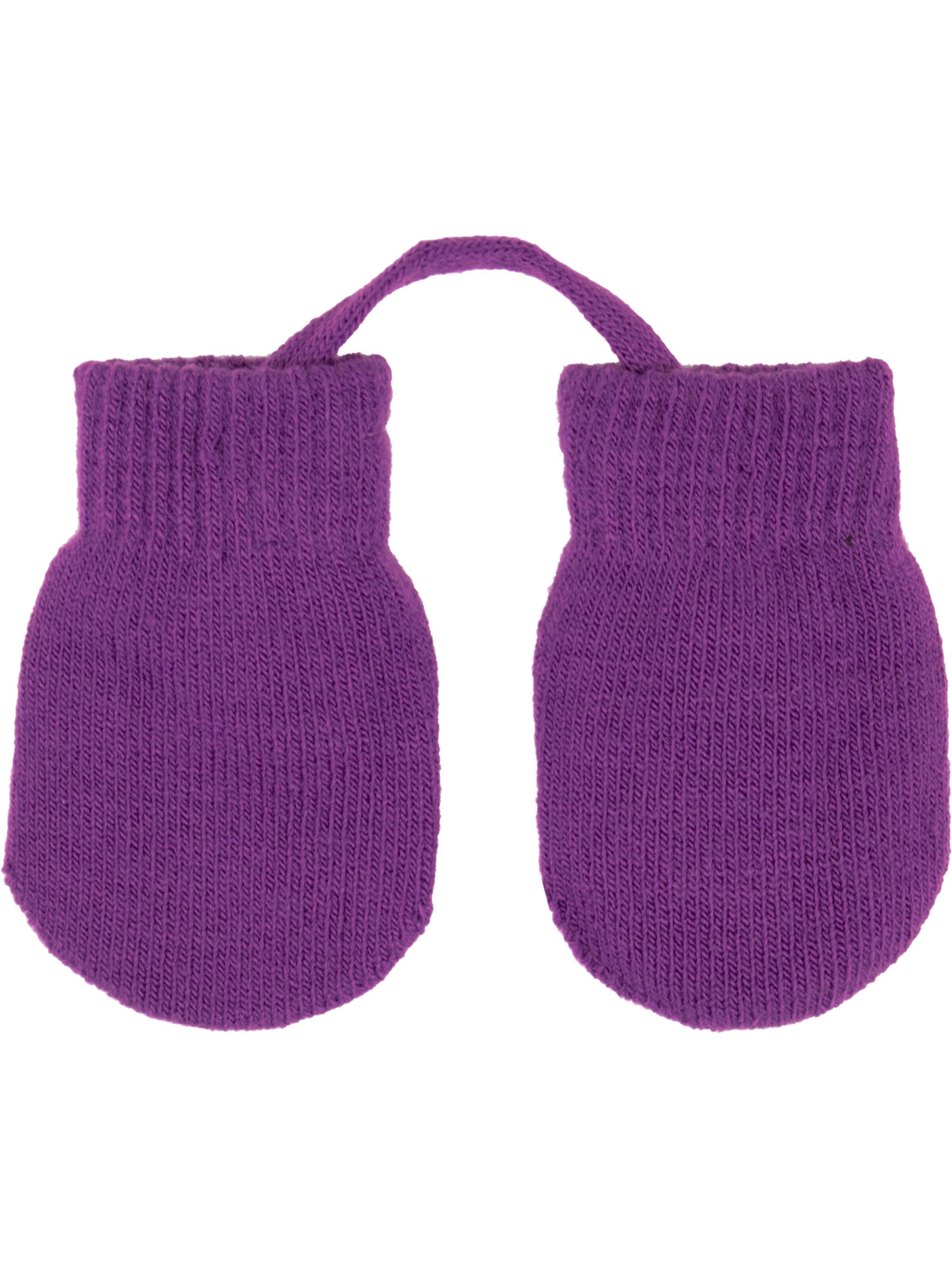 Villervalla Gloves in Purple