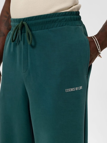 Loosefit Pantaloni 'Japanese Anemone' di VAMOS CLO in verde