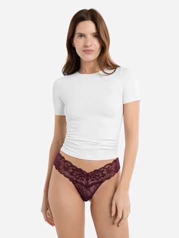 ETAM Panty 'Sweet' in Purple