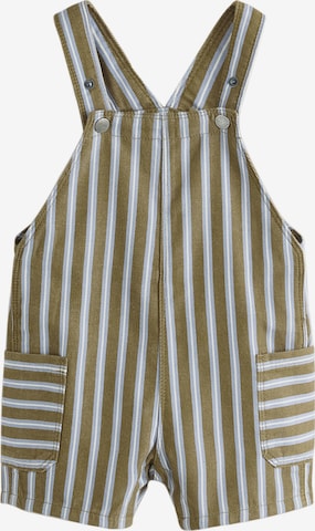 Next Regular Haalari värissä vihreä: etupuoli