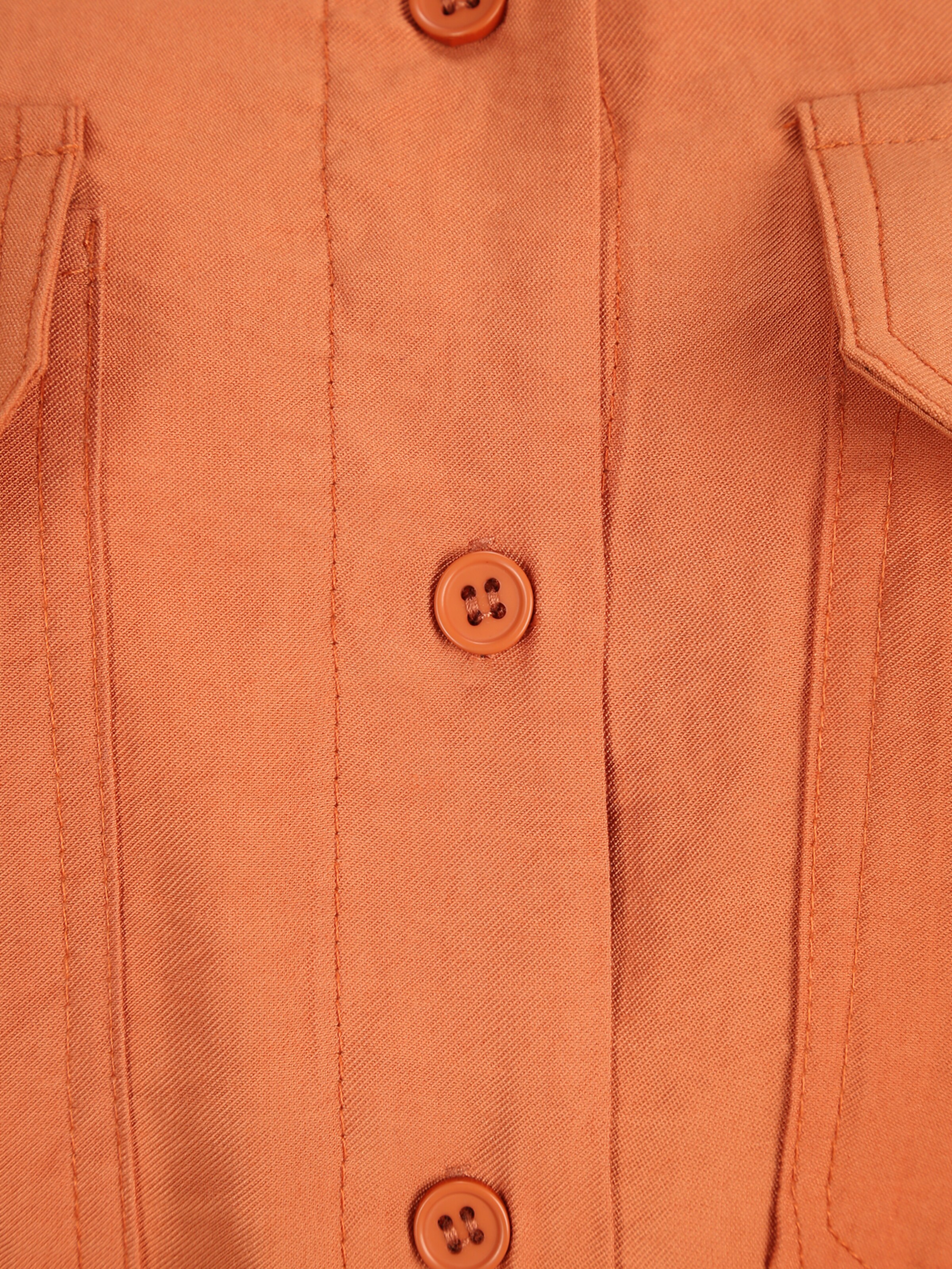 Dorothy Perkins Petite Blouse in Orange