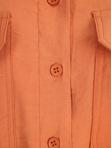 Dorothy Perkins Petite Bluza | oranžna barva