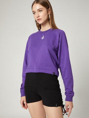 Sweat-shirt 'Nala' VIERVIER en violet : devant