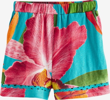 Nextregular Hlače - plava boja: prednji dio