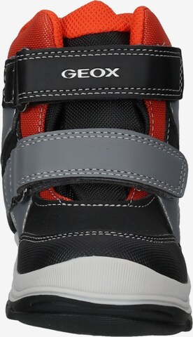 GEOX Stiefelette in Grau