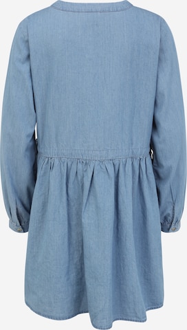 MAMALICIOUS Tunic 'Tina' in Blue