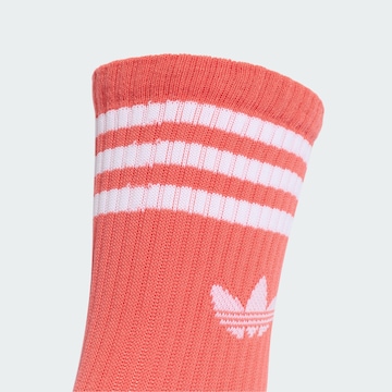 ADIDAS ORIGINALS - Meias em rosa