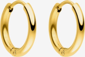 PURELEI Earrings 'Spirit' in Gold: front