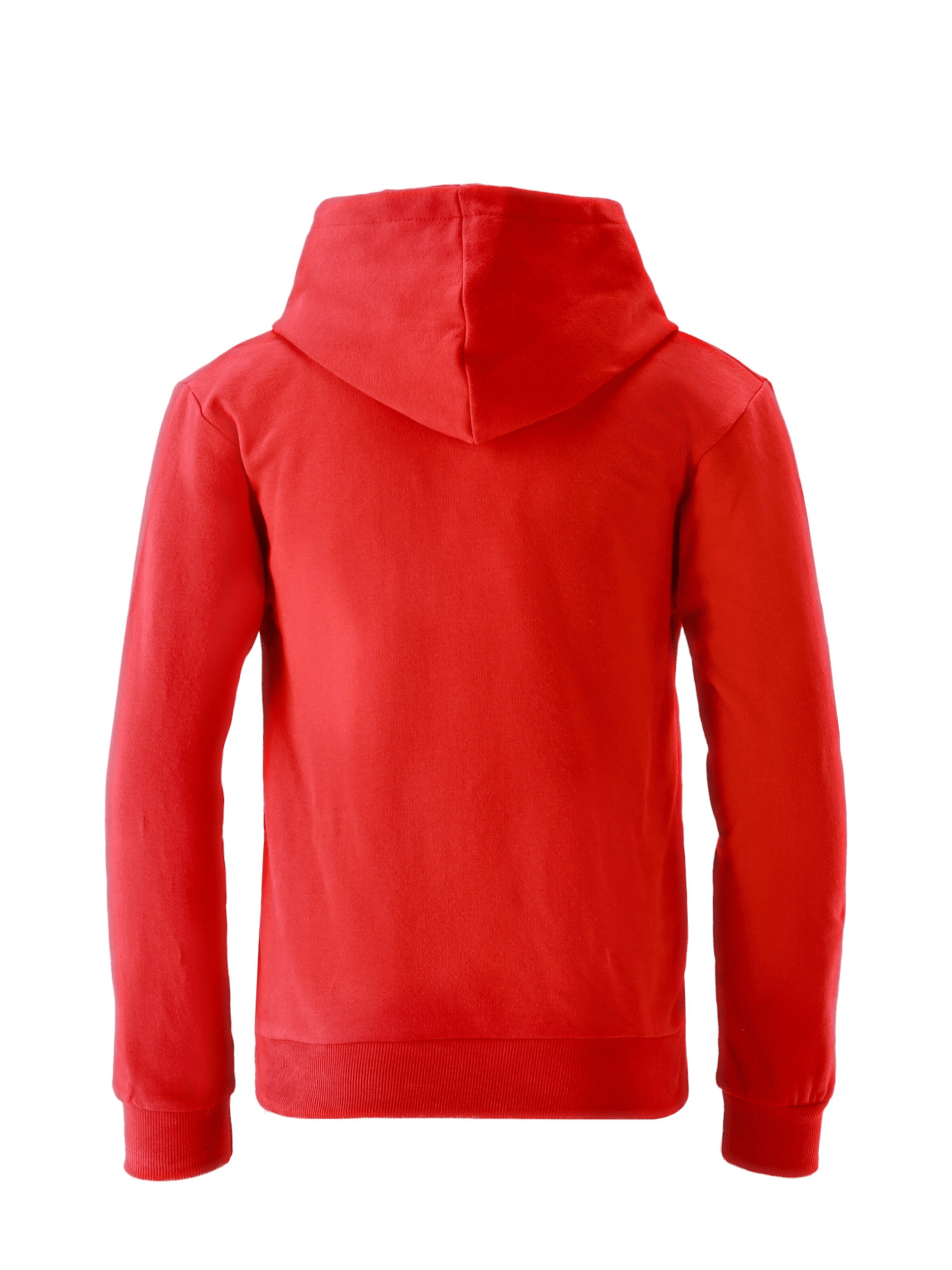 FC BAYERN MÜNCHEN Sweatshirt 'Essential' in Rot