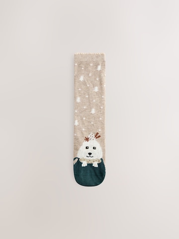 Next Socken in Beige