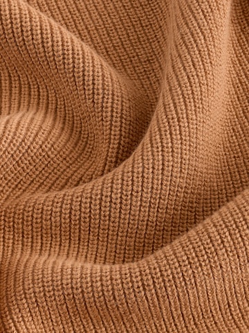 Next Sweater in Brown