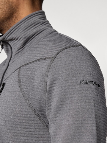 ICEPEAK Jacke 'BERTHOLD' in Grau