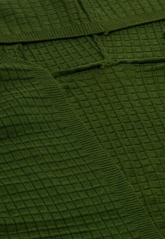 COBIE Knit Cardigan in Green