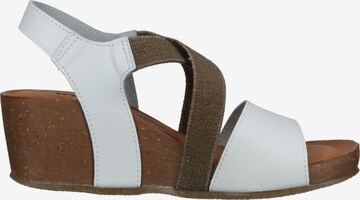 IGI&CO Sandals in Brown