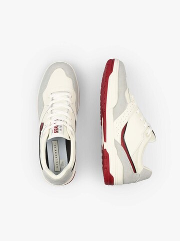 Scalpers Sneaker low 'Ricky' i rød