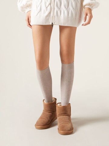 CALZEDONIA Socks in Beige: front