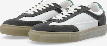 Bianco Sneakers in Grey