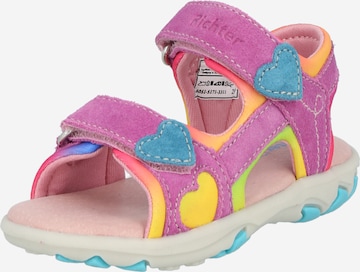 Richter Schuhe Sandals & Slippers in Pink: front