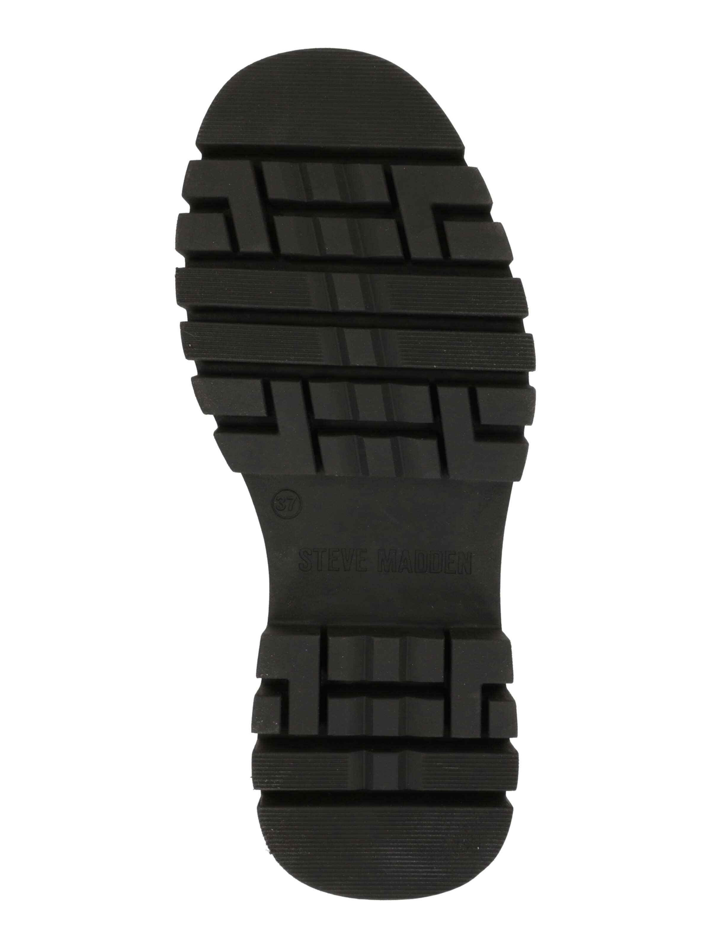 Bottines à lacets 'COAST' STEVE MADDEN en noir