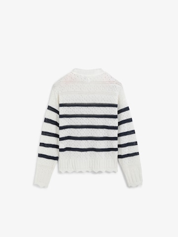 Scalpers Pulover ' ' | modra barva