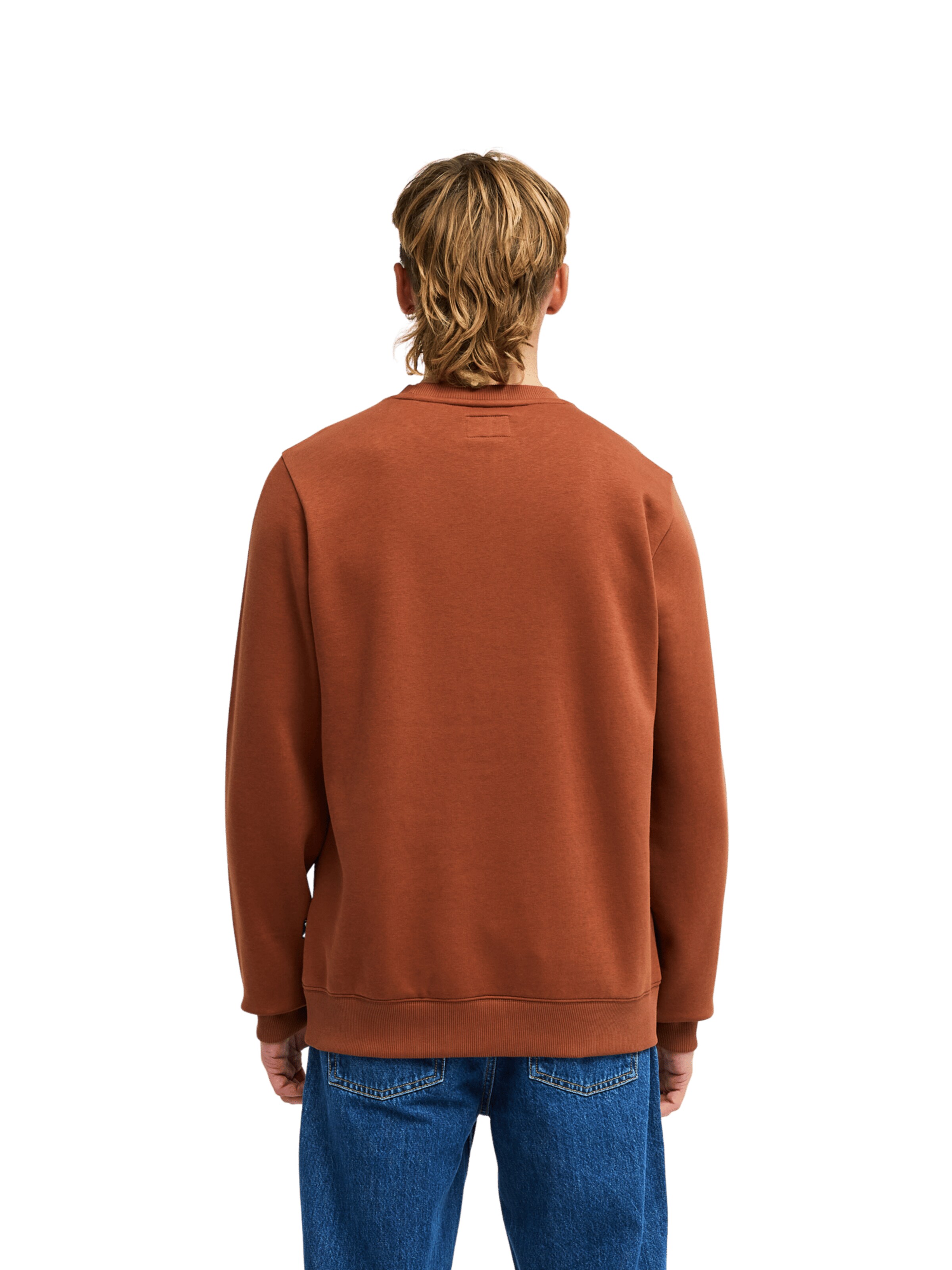 BILLABONG Sweatshirt 'Arch' in Brown