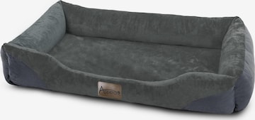 Accessoires pour animaux 'Hanko' Aspero en gris : devant