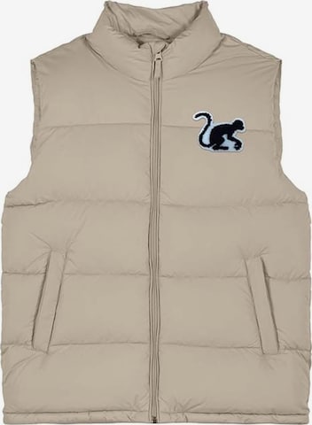 Gilet de sport 'Pufferweste' Surf Monkey en beige : devant