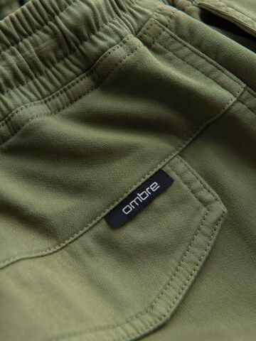 regular Pantaloni sportivi di Ombre in verde