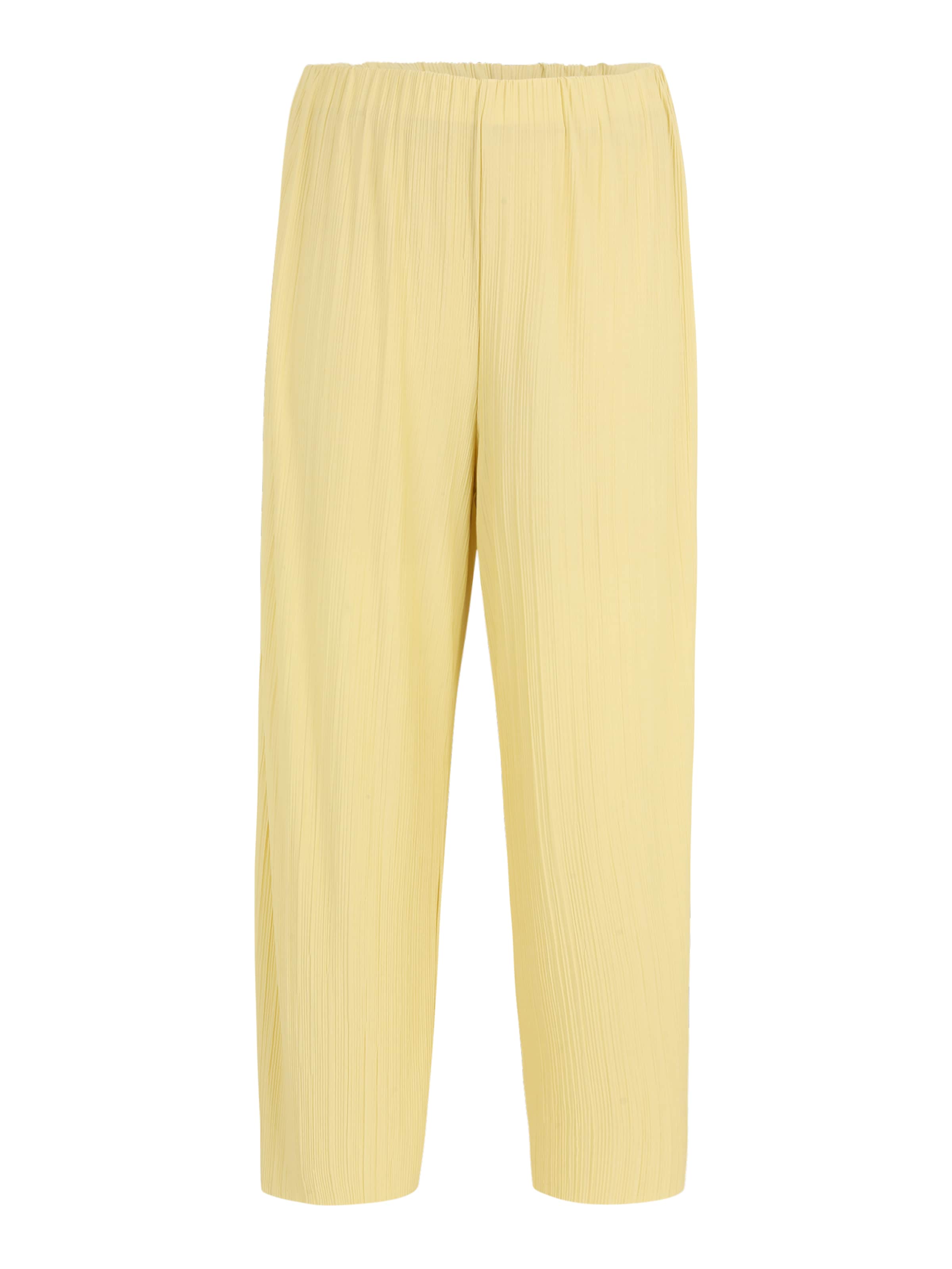 Guido Maria Kretschmer Curvy Regular Pants &#x27;Milly&#x27; in Yellow: front