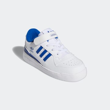 Baskets 'Forum Low' ADIDAS ORIGINALS en blanc