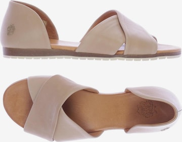 Apple of Eden Sandals & High-Heeled Sandals in 38 in Beige: front