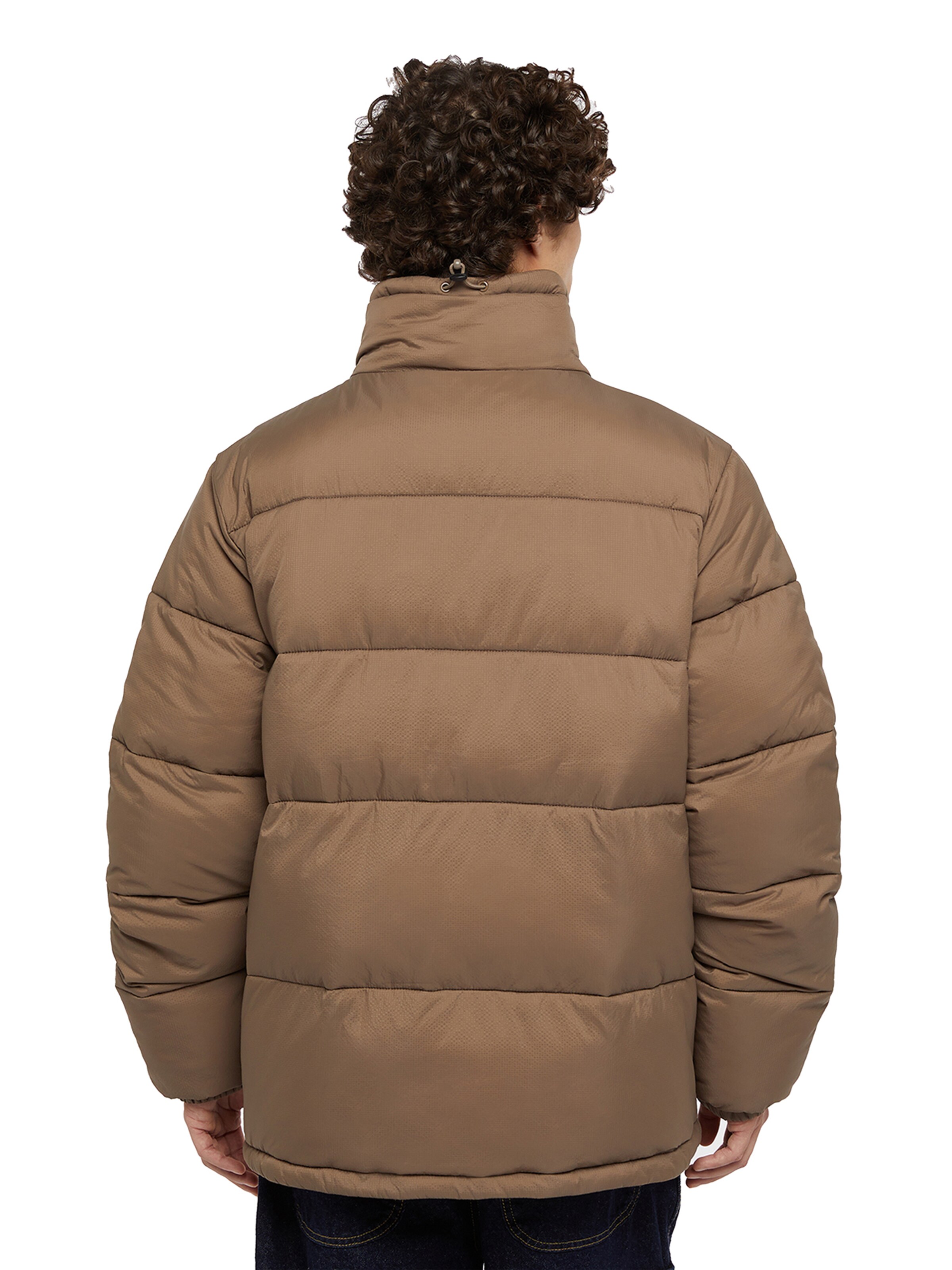 Veste d’hiver 'WALDENBURG' DICKIES en marron