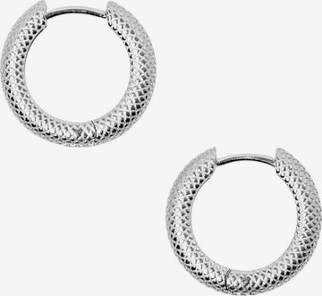 ESPRIT Earrings in Silver: front