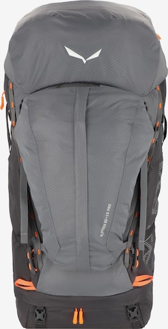 SALEWA Sports Backpack 'Alptrek 65 Pro' in Grey