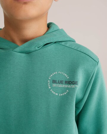 WE Fashion Sweatshirt in Grün