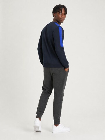 Felpa sportiva 'LELYAN' di SCR. in blu