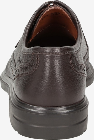 SIOUX Lace-Up Shoes ' Pacco-J ' in Brown