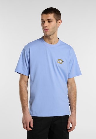 DICKIES Koszulka w kolorze fioletowy: przód