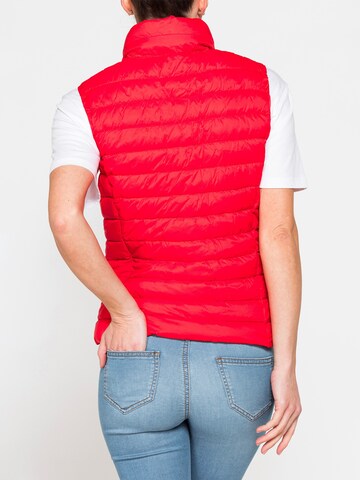 Carrera Jeans Outdoor Jacket 'Ultra-Light' in Red
