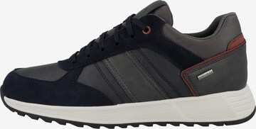 GEOX Sneaker in Grau