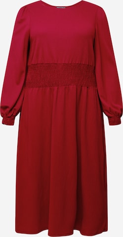 Dorothy Perkins Curve Dress 'Berry' in Red: front