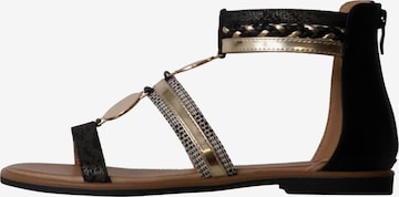 Sixth Sense Sandaal 'Flache Sandalen mit Reißverschluss' in Zwart: voorkant