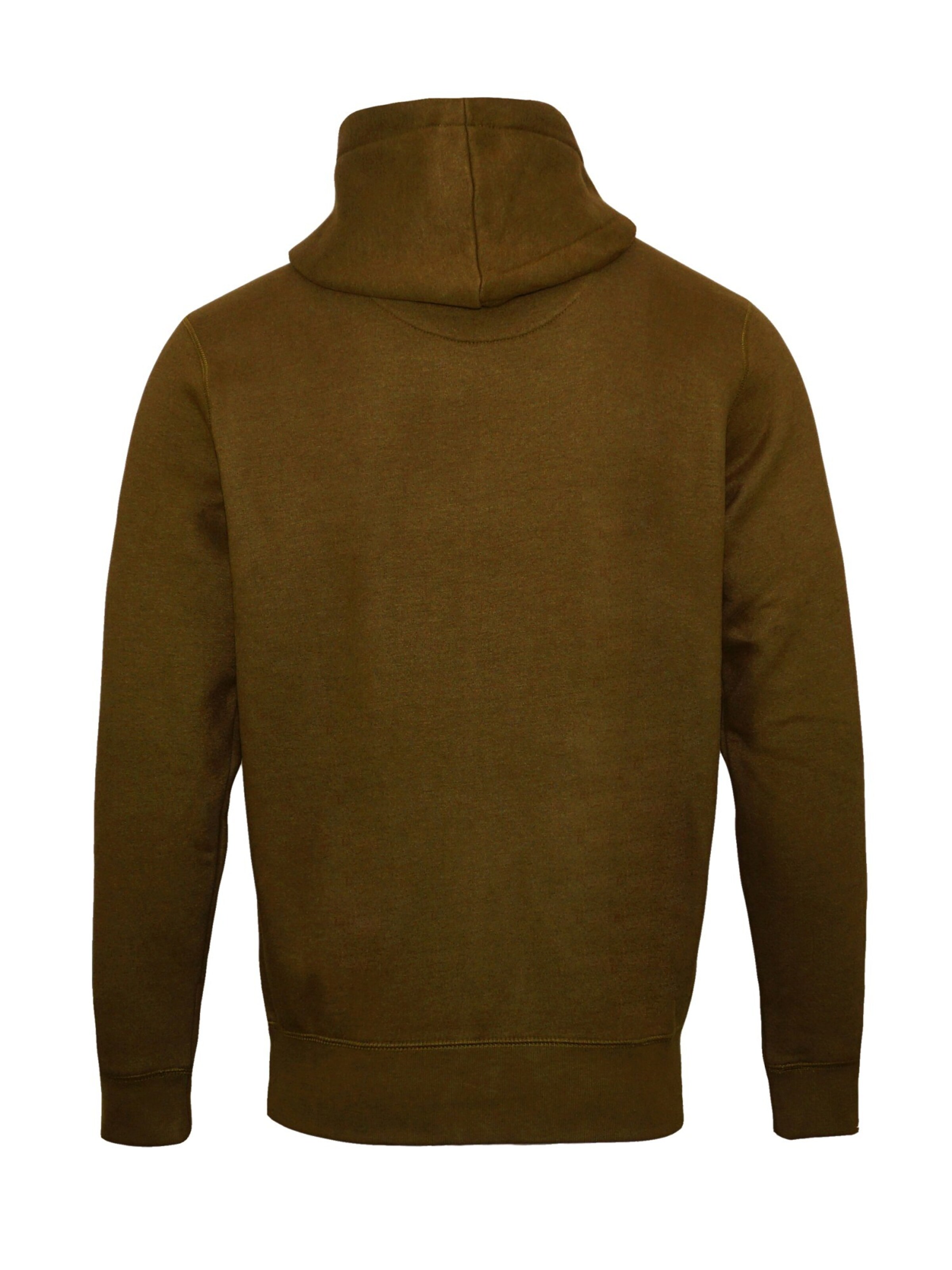 Petrol Industries Sweatshirt in Braun