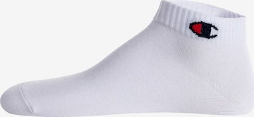 Chaussettes Champion Authentic Athletic Apparel en blanc