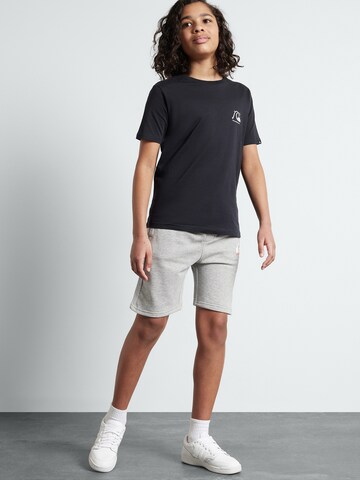 QUIKSILVER tavaline Püksid 'Easy Day', värv hall