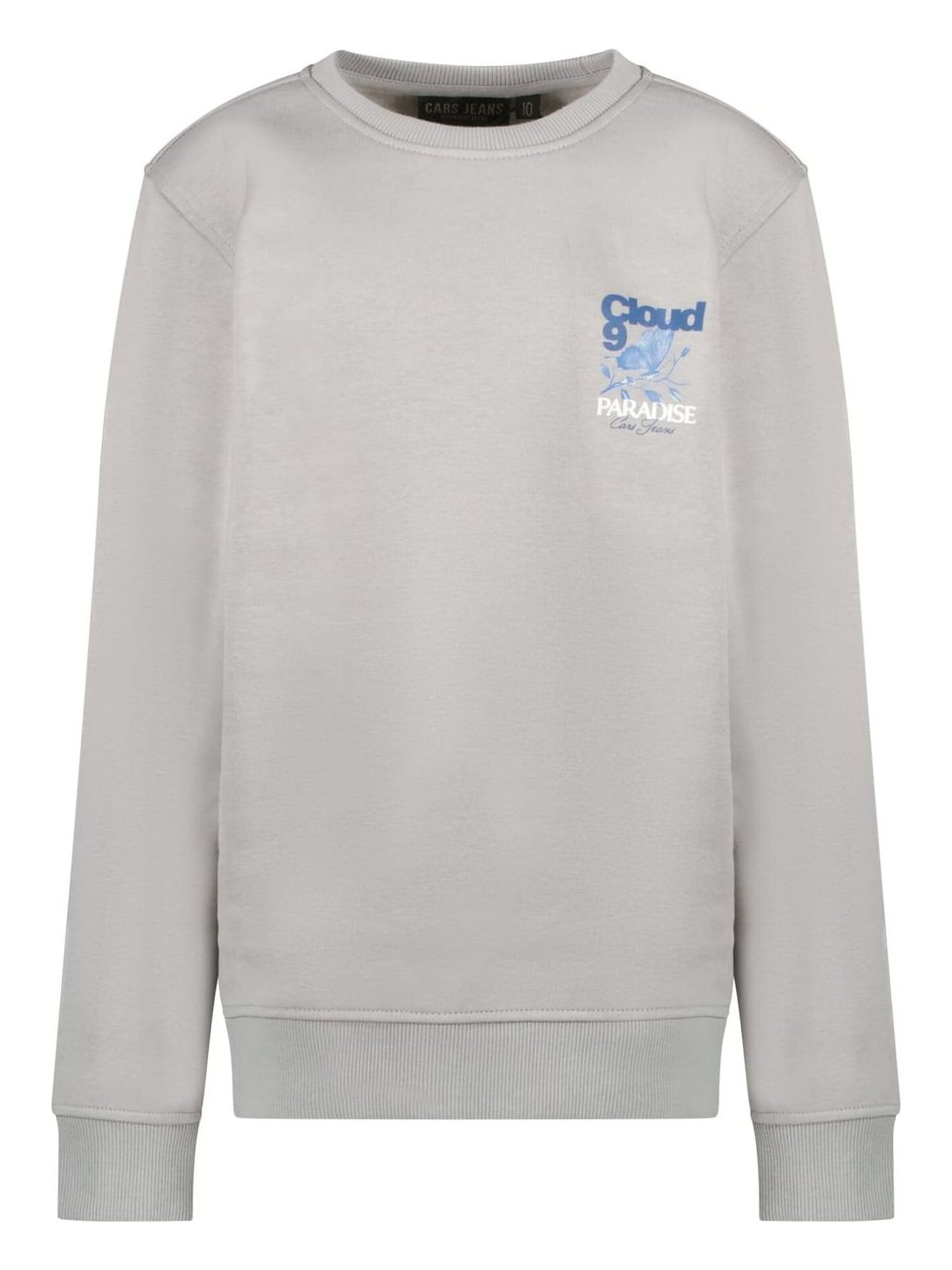 CARS Sweatshirt in Grey: front