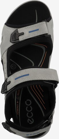Sandales de randonnée ECCO en gris