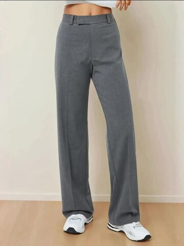Hiccup Regular Pleated Pants in Grey: front