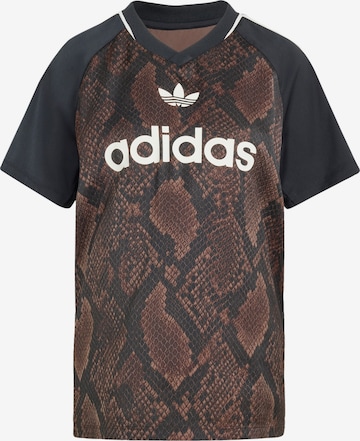 ADIDAS ORIGINALS Koszulka w kolorze brązowy: przód