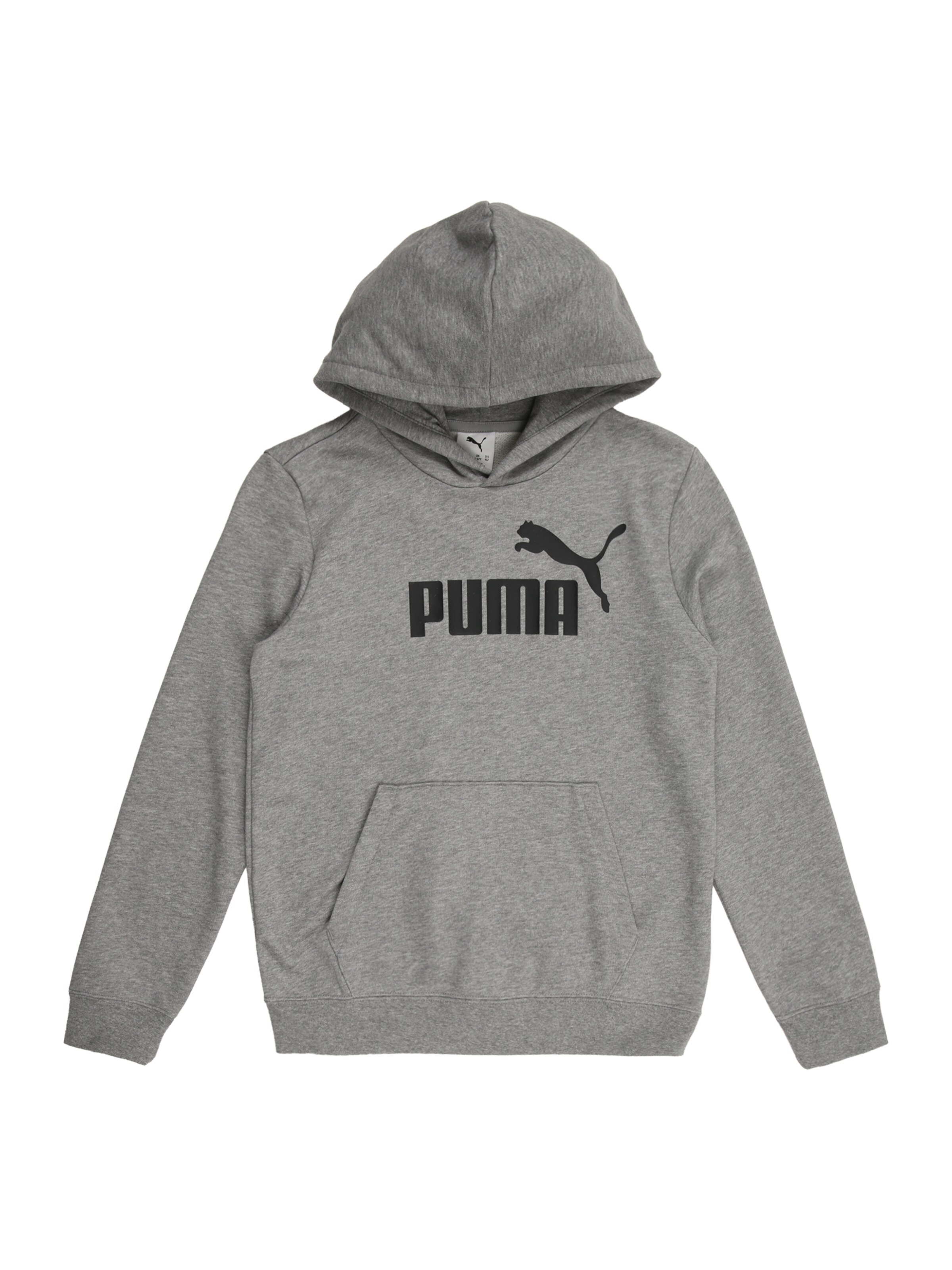 PUMA Кофта на молнии 'ESS No. 1' в Серый: спереди